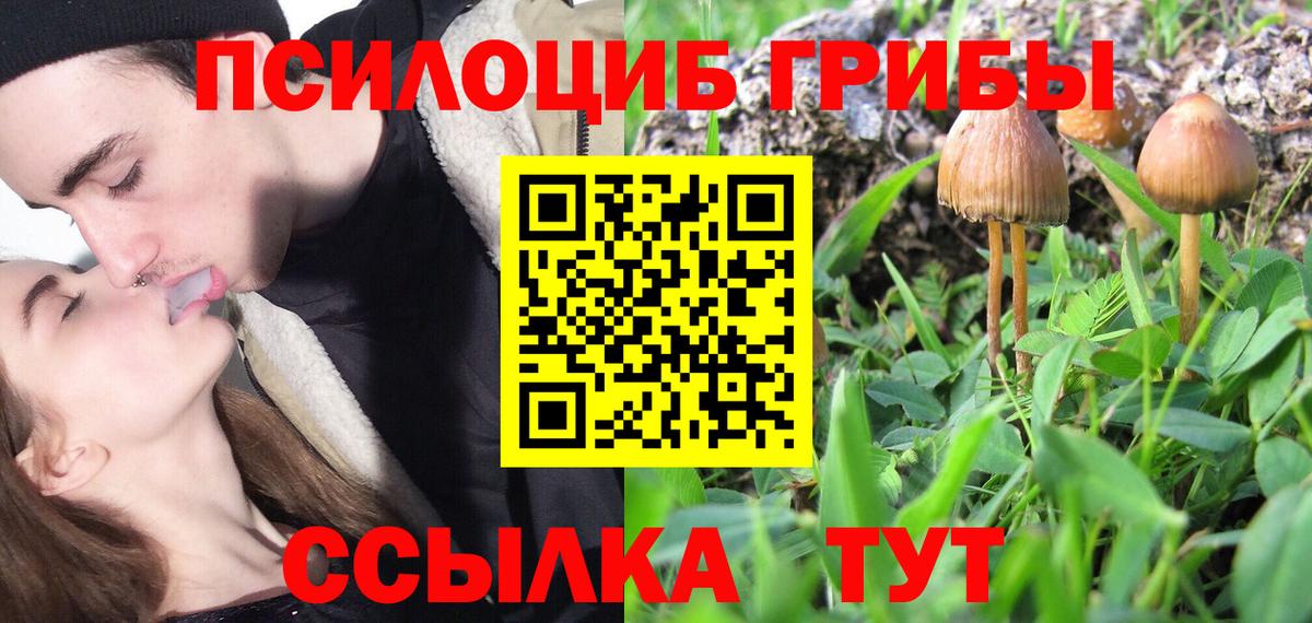 Псилоцибиновые грибы Cubensis  Вход с VPN  Псилоцибиновые грибы MAGIC MUSHROOMS  Пыть-Ях 
